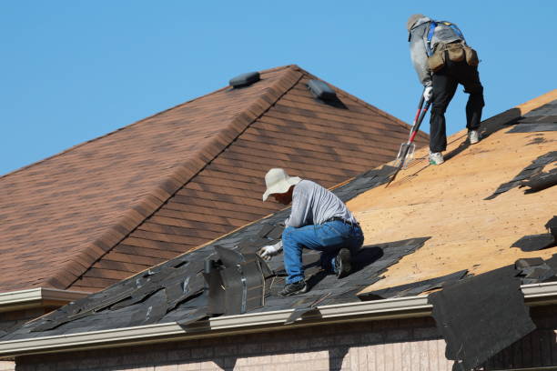 Best Solar Panel Roofing Installation  in Taylorsville, KY
